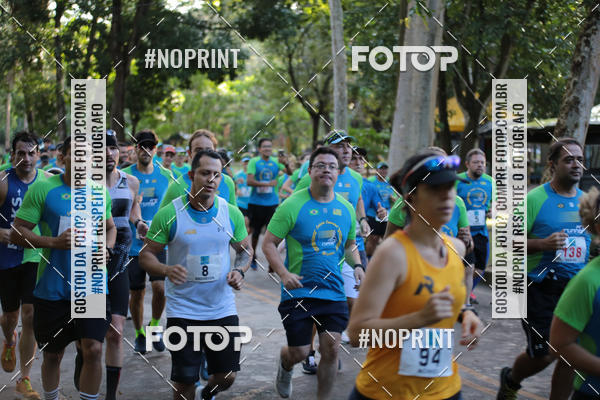 Buy your photos of the eventCORRIDA PRO RUNNER on Fotop