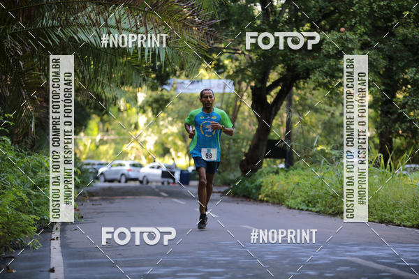 Buy your photos of the eventCORRIDA PRO RUNNER on Fotop