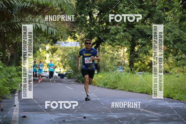 Buy your photos of the eventCORRIDA PRO RUNNER on Fotop