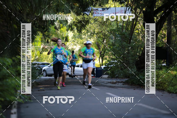 Buy your photos of the eventCORRIDA PRO RUNNER on Fotop