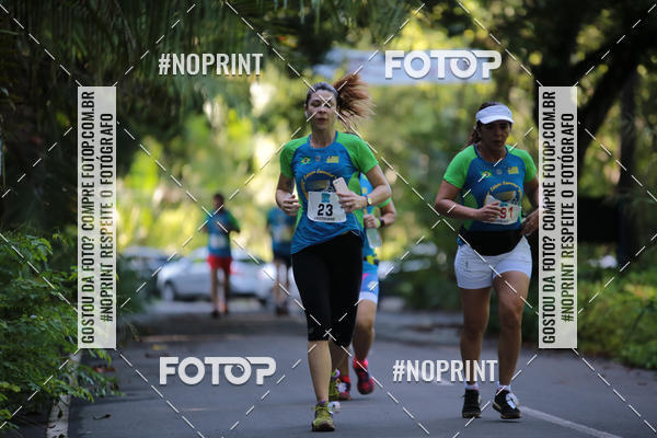 Buy your photos of the eventCORRIDA PRO RUNNER on Fotop