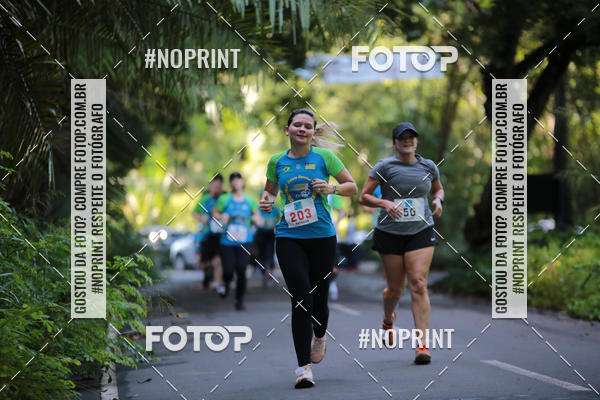 Buy your photos of the eventCORRIDA PRO RUNNER on Fotop