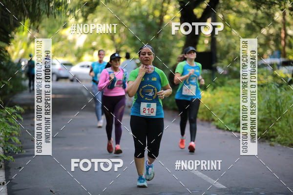 Buy your photos of the eventCORRIDA PRO RUNNER on Fotop