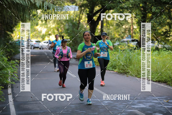 Buy your photos of the eventCORRIDA PRO RUNNER on Fotop