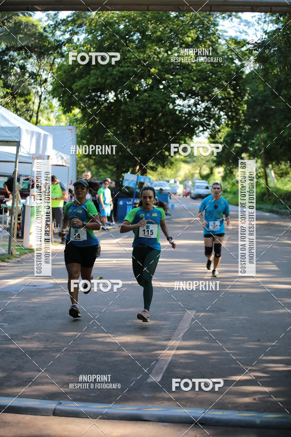 Buy your photos of the eventCORRIDA PRO RUNNER on Fotop