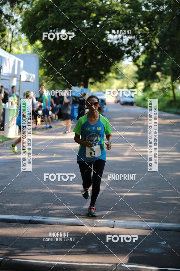 Buy your photos of the eventCORRIDA PRO RUNNER on Fotop