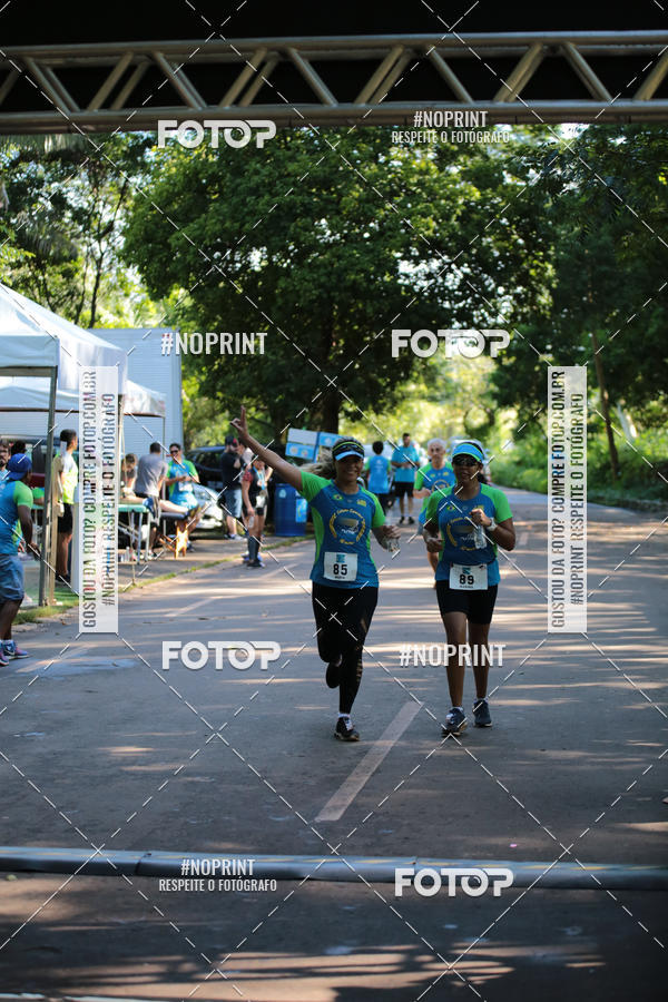 Buy your photos of the eventCORRIDA PRO RUNNER on Fotop