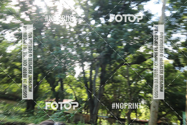 Buy your photos of the eventCORRIDA PRO RUNNER on Fotop