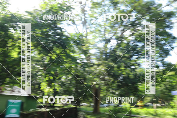 Buy your photos of the eventCORRIDA PRO RUNNER on Fotop