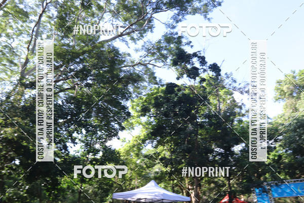 Buy your photos of the eventCORRIDA PRO RUNNER on Fotop