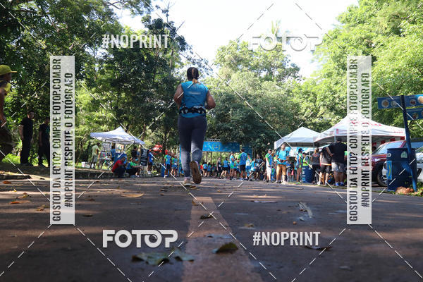 Buy your photos of the eventCORRIDA PRO RUNNER on Fotop