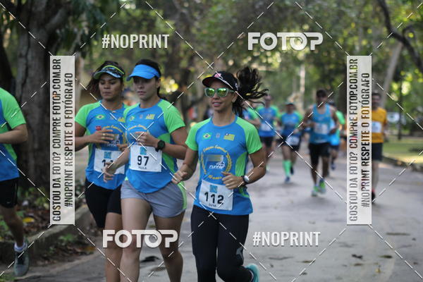 Buy your photos of the eventCORRIDA PRO RUNNER on Fotop