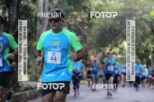 Buy your photos of the eventCORRIDA PRO RUNNER on Fotop