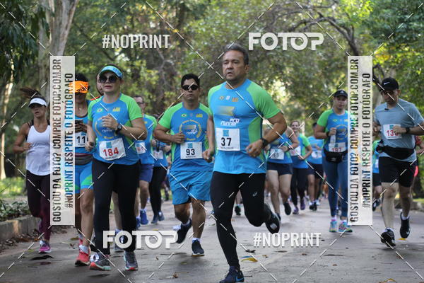 Buy your photos of the eventCORRIDA PRO RUNNER on Fotop