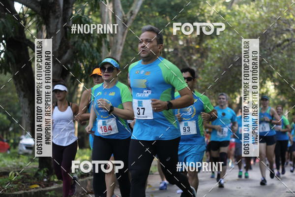 Buy your photos of the eventCORRIDA PRO RUNNER on Fotop