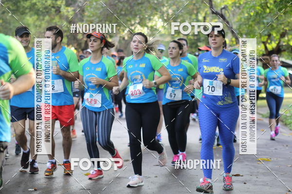 Buy your photos of the eventCORRIDA PRO RUNNER on Fotop