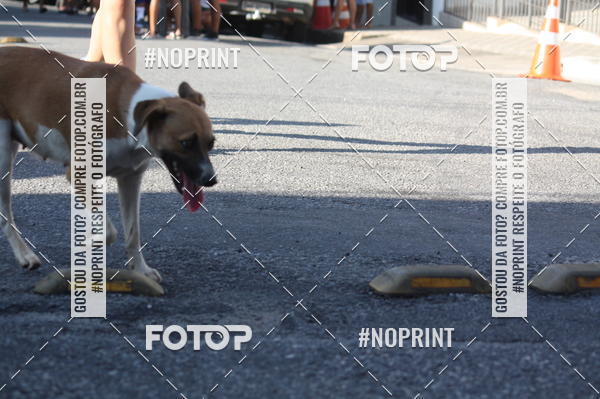 Buy your photos of the eventXVI CORRIDA R�STICA DA POL�CIA MILITAR DE MINAS GERAIS/DIVIN�POLIS on Fotop