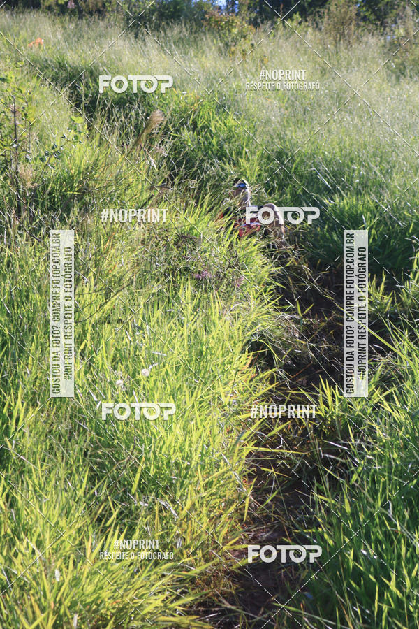 Buy your photos of the eventCorrida Off Road on Fotop