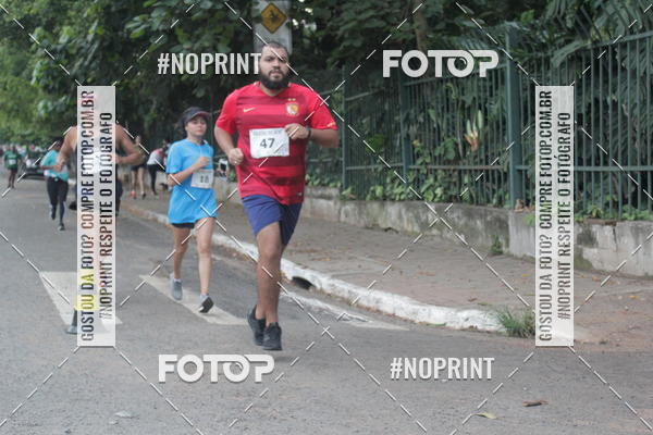 Buy your photos of the event1 Fast Running Santo Amaro 2019 on Fotop