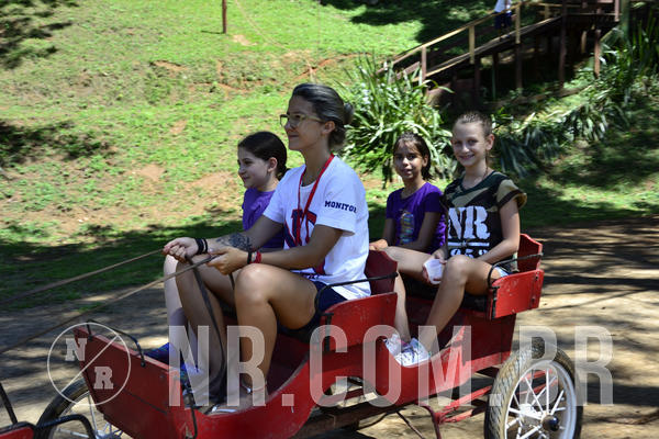 Buy your photos of the eventNR1 - Kids 07 a 13/01/19 on Fotop