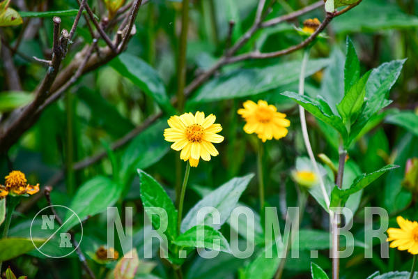 Buy your photos of the eventNR2 - Teens 07 a 20/01/19 on Fotop