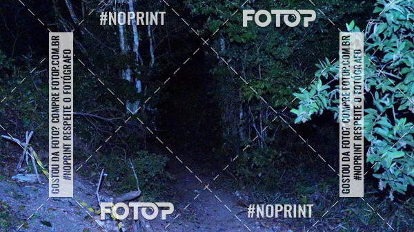 Compra tus fotos del eventoPark Trail Night Run En Fotop