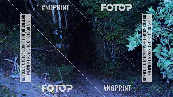 Compra tus fotos del eventoPark Trail Night Run En Fotop