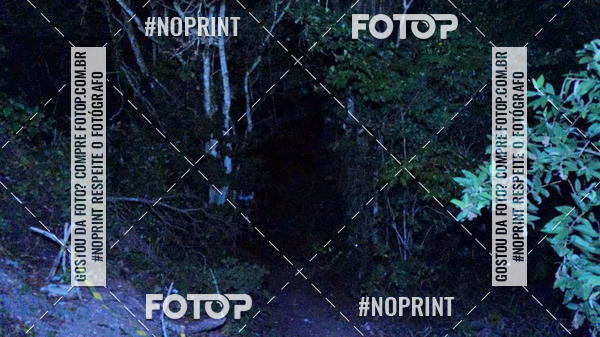 Compra tus fotos del eventoPark Trail Night Run En Fotop