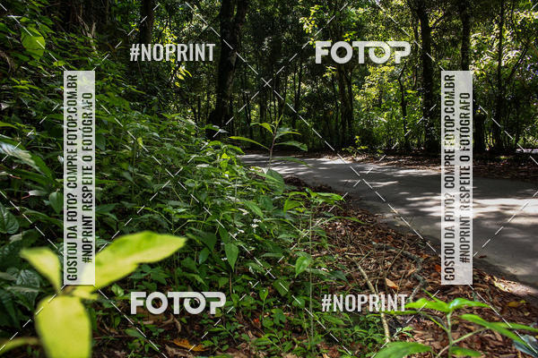 Buy your photos of the eventCORRIDAS DE MONTANHA ETAPA MAIRIPOR SP on Fotop