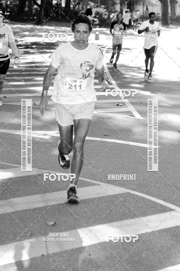 Buy your photos of the eventAJ Circuito Race on Fotop