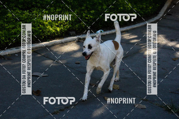 Buy your photos of the eventAJ Circuito Race on Fotop