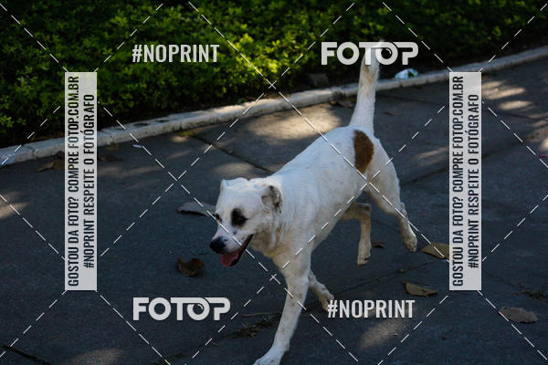 Buy your photos of the eventAJ Circuito Race on Fotop