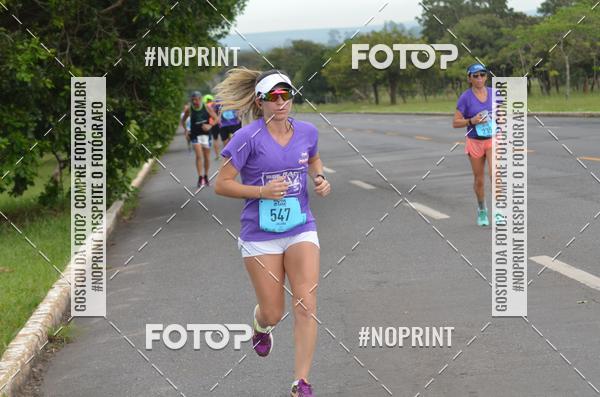 Buy your photos of the eventBSB RACE DAY on Fotop