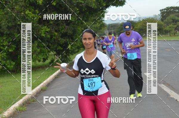 Buy your photos of the eventBSB RACE DAY on Fotop