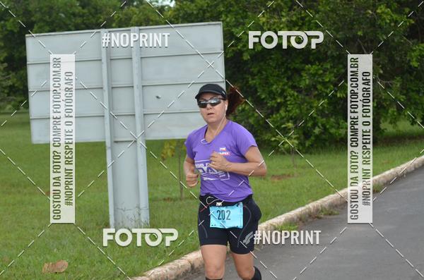 Buy your photos of the eventBSB RACE DAY on Fotop