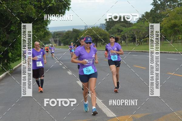 Buy your photos of the eventBSB RACE DAY on Fotop