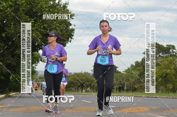 Buy your photos of the eventBSB RACE DAY on Fotop