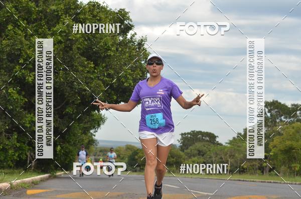 Buy your photos of the eventBSB RACE DAY on Fotop