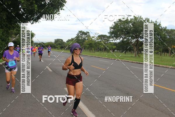 Buy your photos of the eventBSB RACE DAY on Fotop