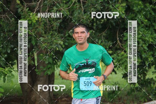 Buy your photos of the eventBSB RACE DAY on Fotop