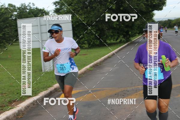 Buy your photos of the eventBSB RACE DAY on Fotop