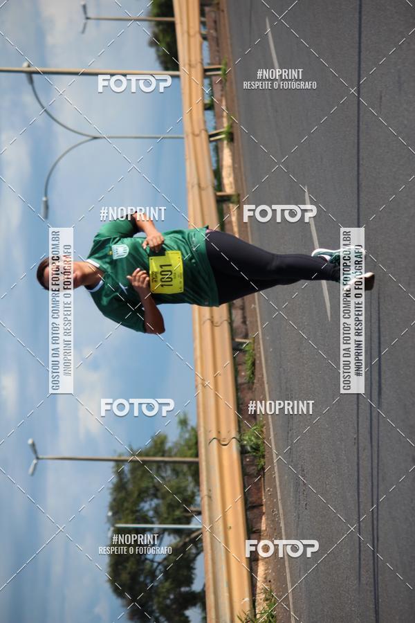 Buy your photos of the eventBSB RACE DAY on Fotop