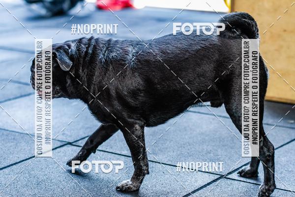 Buy your photos of the eventSaurus - Wknd Experience on Fotop