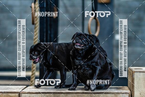 Buy your photos of the eventSaurus - Wknd Experience on Fotop