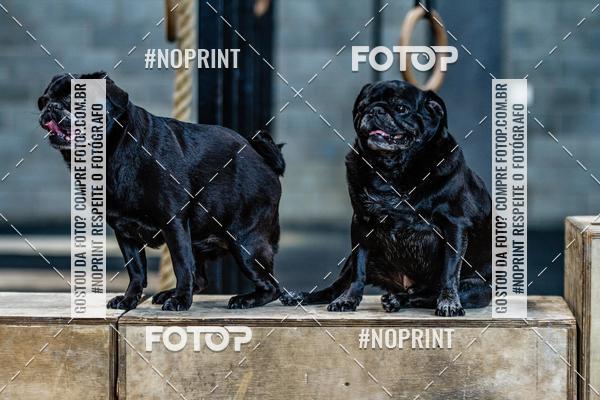 Buy your photos of the eventSaurus - Wknd Experience on Fotop