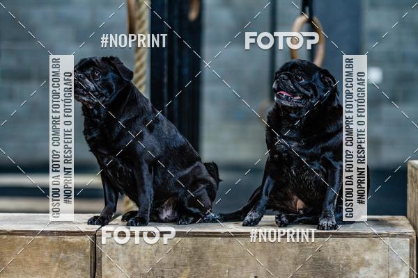 Buy your photos of the eventSaurus - Wknd Experience on Fotop