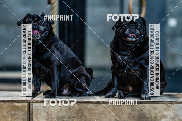 Buy your photos of the eventSaurus - Wknd Experience on Fotop