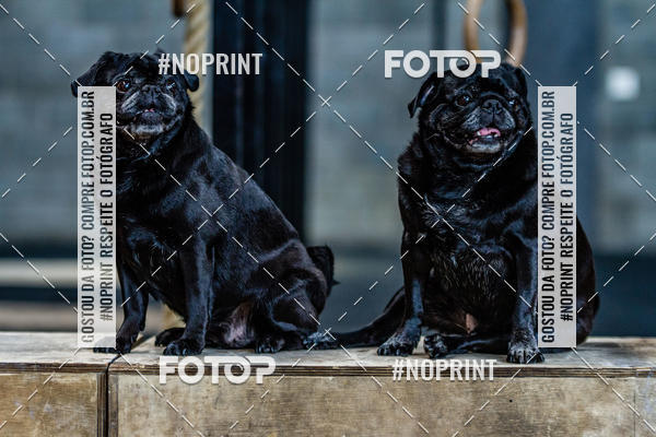 Buy your photos of the eventSaurus - Wknd Experience on Fotop