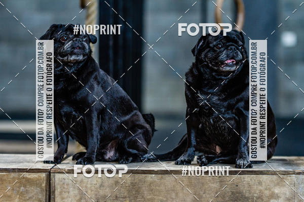 Buy your photos of the eventSaurus - Wknd Experience on Fotop