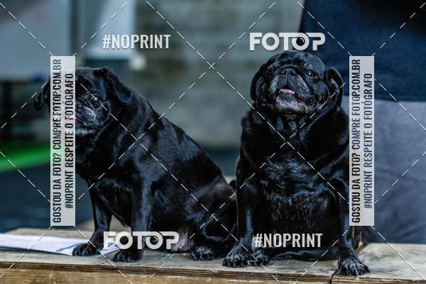 Buy your photos of the eventSaurus - Wknd Experience on Fotop